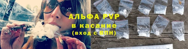 стафф Аркадак