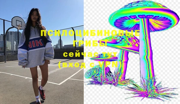 стафф Аркадак