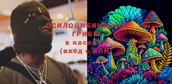 стафф Аркадак