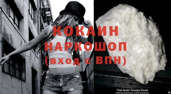 стафф Аркадак