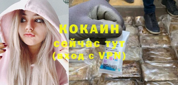 стафф Аркадак