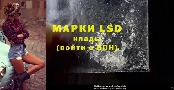 стафф Аркадак