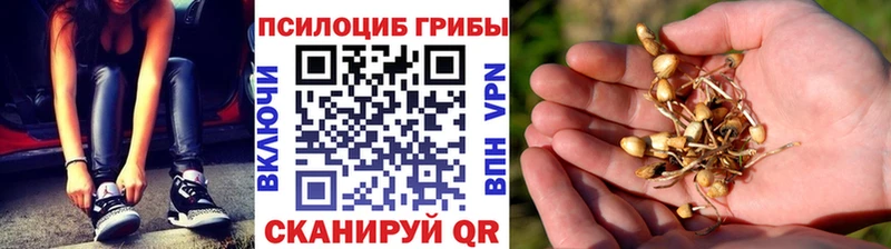 Галлюциногенные грибы MAGIC MUSHROOMS Балтийск