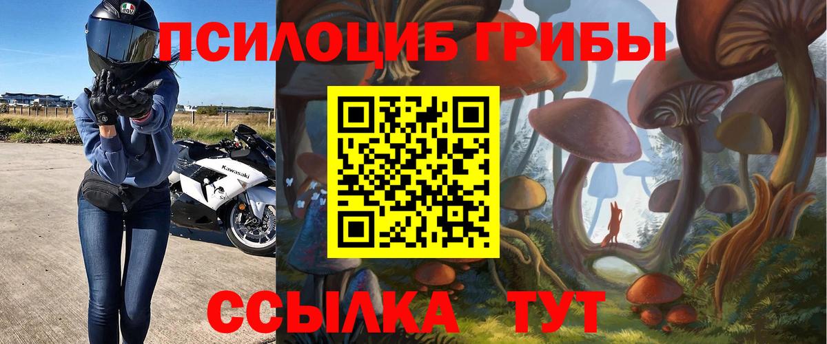 Галлюциногенные грибы MAGIC MUSHROOMS Балтийск