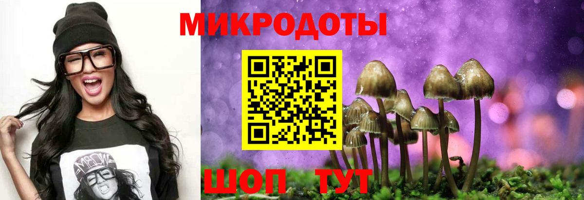 Галлюциногенные грибы Cubensis  Галлюциногенные грибы Psilocybe  Вход с VPN  Балтийск 